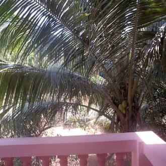 Non Ac 2bhk Apartment 1km From Benaulim Beach, South Goa, Goa 3